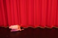 /album/gala-2016/a13435586-10154241070144253-8639563344966213684-n-jpg/